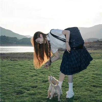 百合与直觉